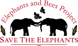 elephantsandbees.com/wp-content/uploads/2013/11/elephants-and-bees-logo-web1.png