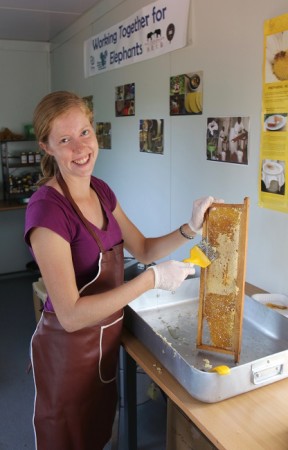 Becca hard at work in the honey room